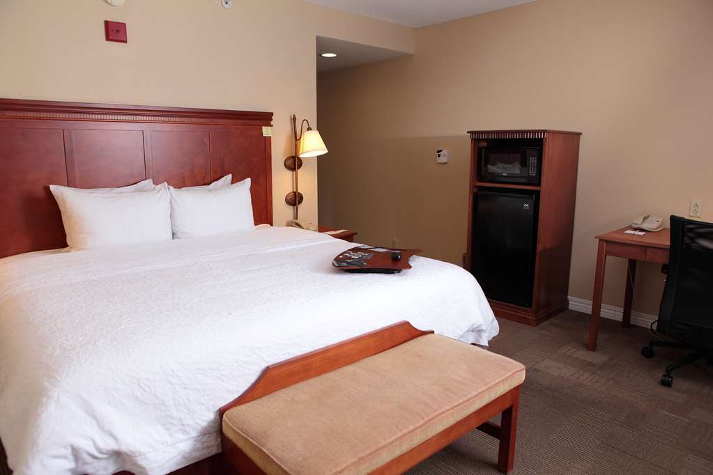 Hampton Inn Martin Номер фото
