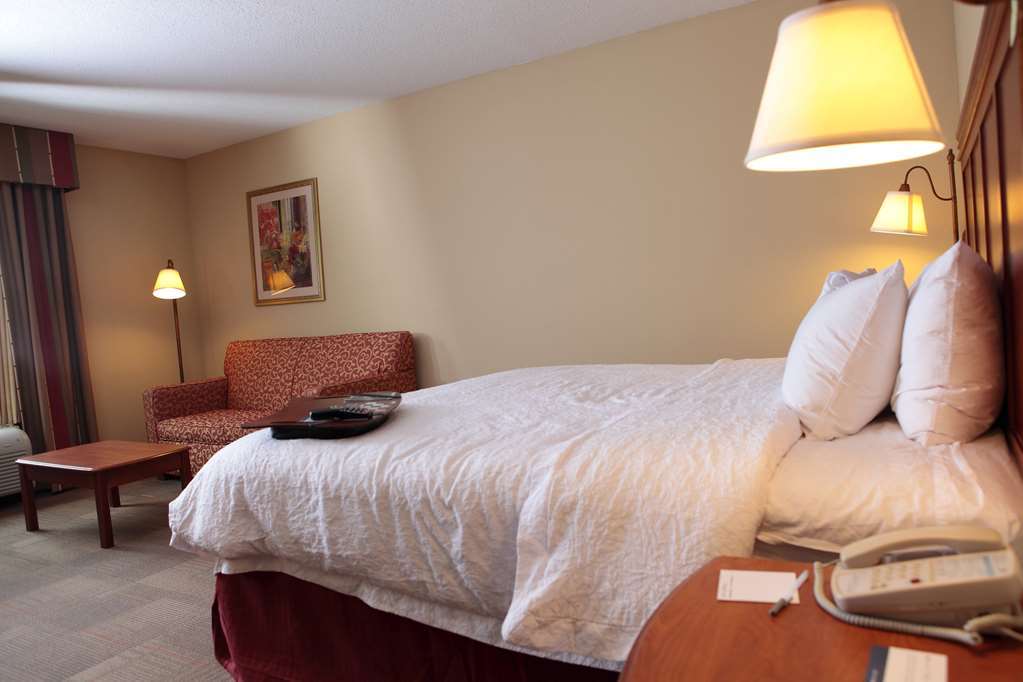 Hampton Inn Martin Номер фото